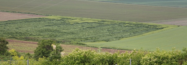 20250520_megdoltarpa_4.jpg